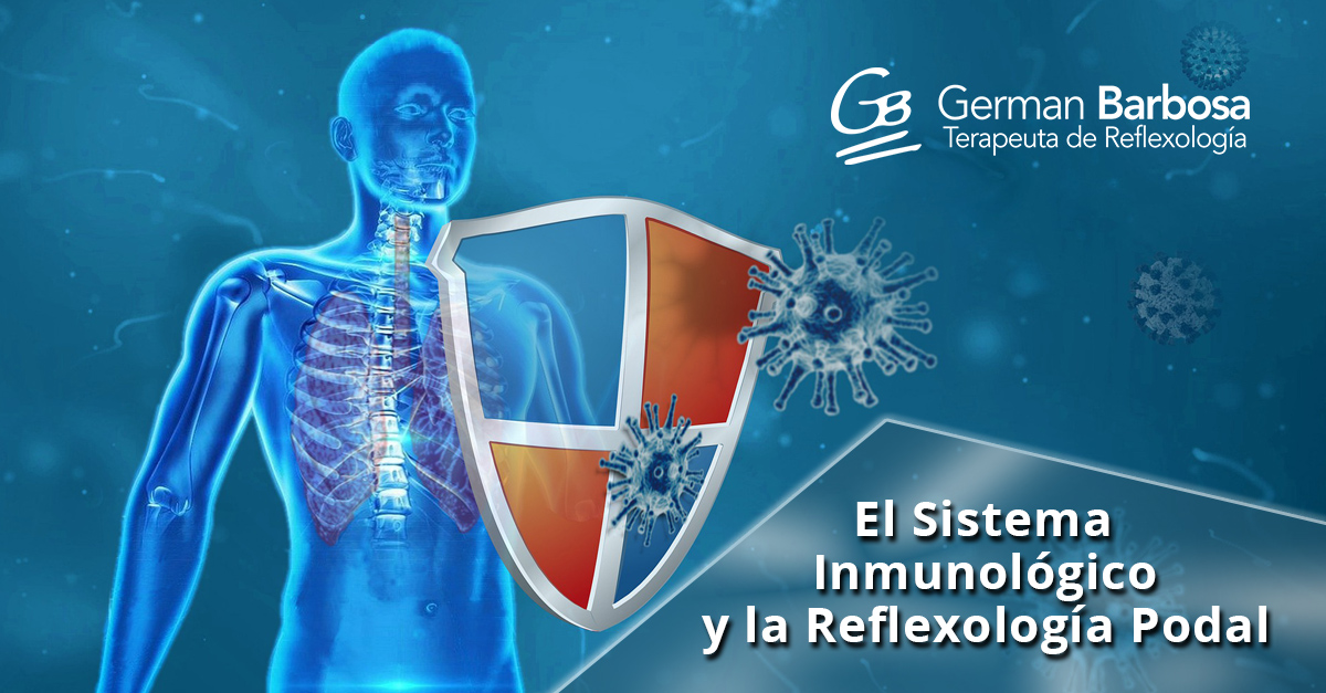 Reflexología best sale sistema inmunológico